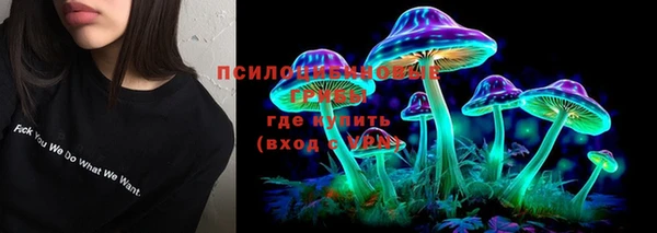 мескалин Надым