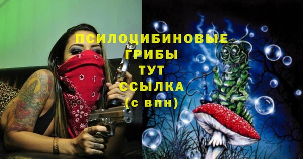 бошки Нея