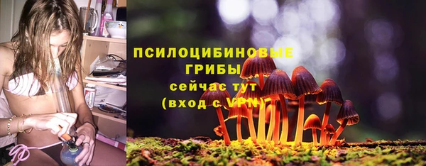 мескалин Надым