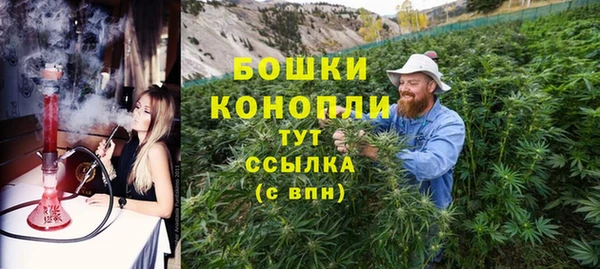 бошки Нея