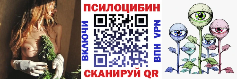 Псилоцибиновые грибы Psilocybine cubensis  MEGA ONION  Приволжск  дарнет шоп 