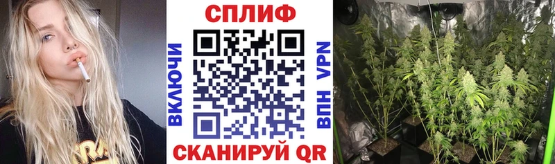 Марихуана Bruce Banner  Приволжск 